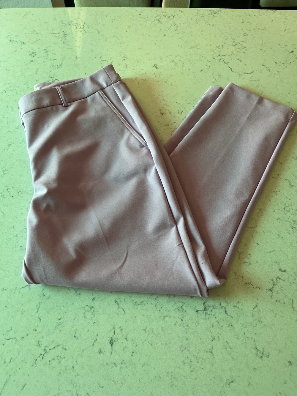 NWOT Rachel Zoe Women’s Dress Pants in Pink